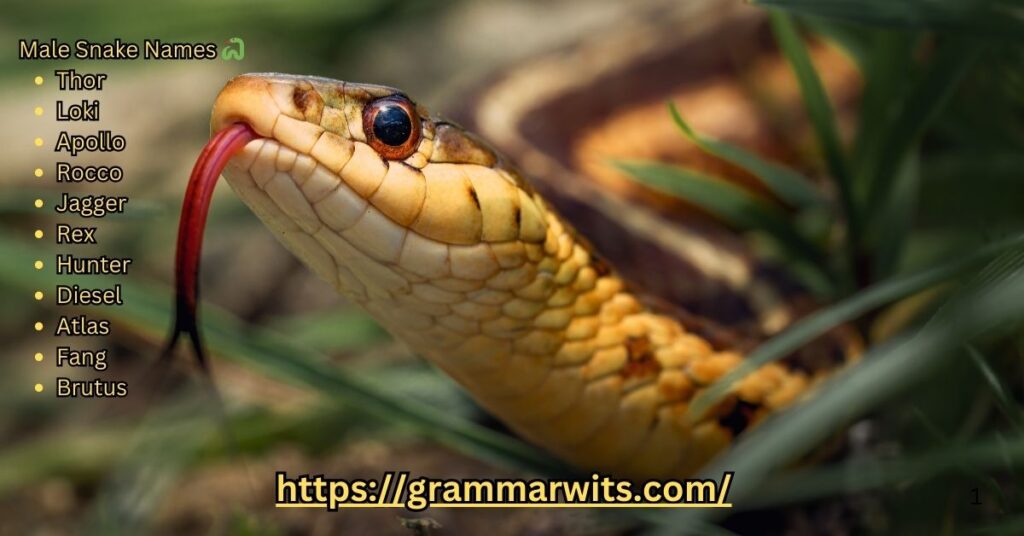 Male Names 🐍🦸