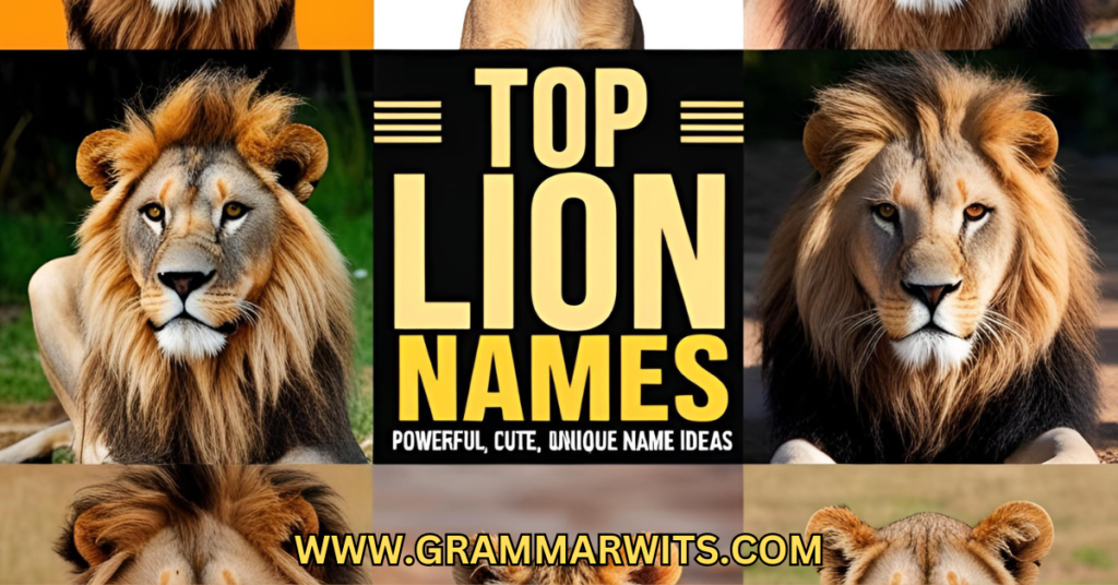 Lion by Letters: A-Z Collection