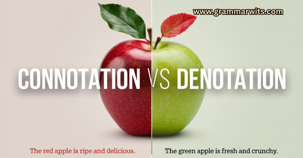 Connotation vs Denotation: Definitions, Differences, and Examples