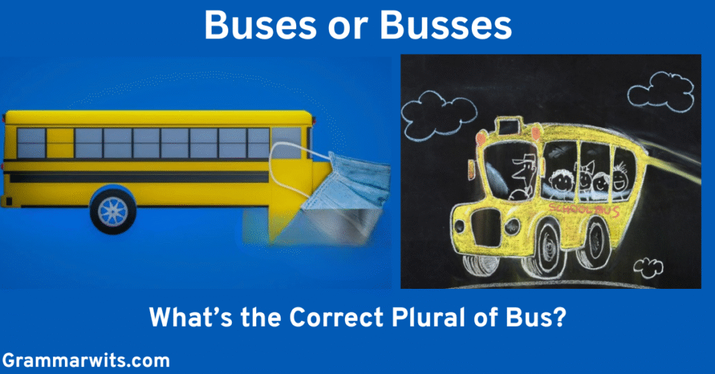 Buses or Busses: What’s the Correct Plural of Bus?