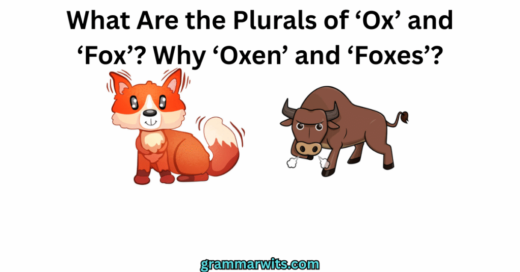 What Are the Plurals of ‘Ox’ and ‘Fox’? Why ‘Oxen’ and ‘Foxes’?