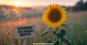 20+ Saturday Good Morning Quotes for a Fresh Start